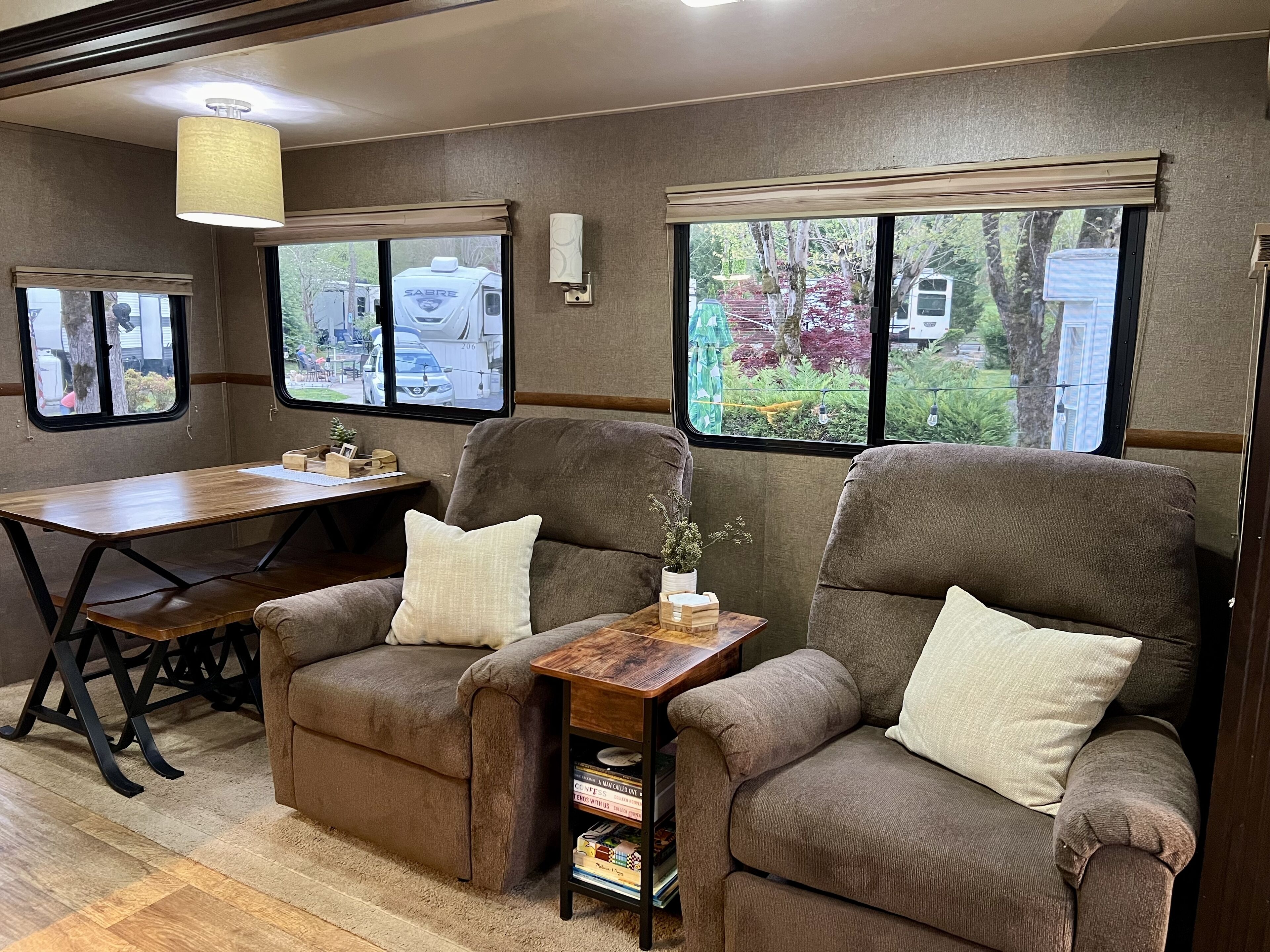 TV connectée, cheminée, livres