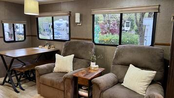 TV connectée, cheminée, livres