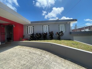 Exterior detail - Big House Next to the Airport (San Juan)