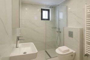 シャワー、タオル、石鹸、トイレットペーパー