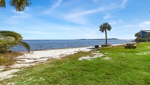 Una playa con una palmera, una mesa de picnic y un edificio al fondo.