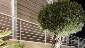 Un bonsai bien cuidado con un tronco grueso y follaje denso, sobre una cama de guijarros blancos en un jardín ajardinado.