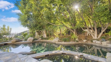 Outdoor pool, pool umbrellas, pool loungers