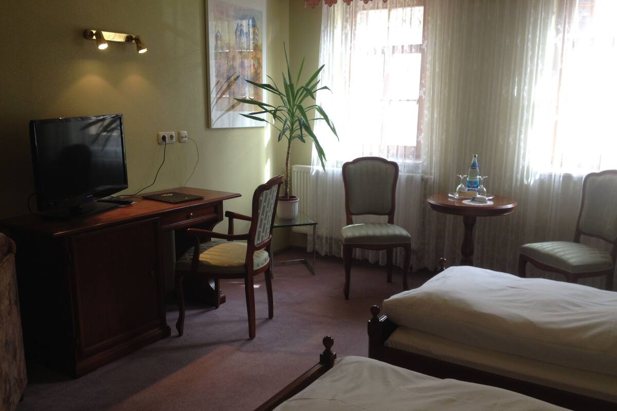 Hotelkamer met een bureau, twee stoelen, een bed, een televisie, een kamerplant en een raam met gordijnen.