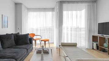 Älytelevisio, kirjoja