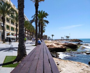 A wooden promenade with palm trees, a beach, and a rocky coastline. - not available (Torrevieja)