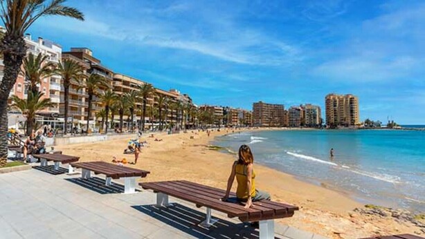 A beachside promenade with benches, palm trees, and a clear blue sky.