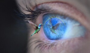 A close-up of a human eye with a hummingbird in flight. - not available (Torrevieja)