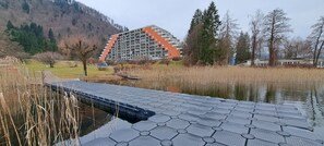 Unclassified image, 5 of 31, button