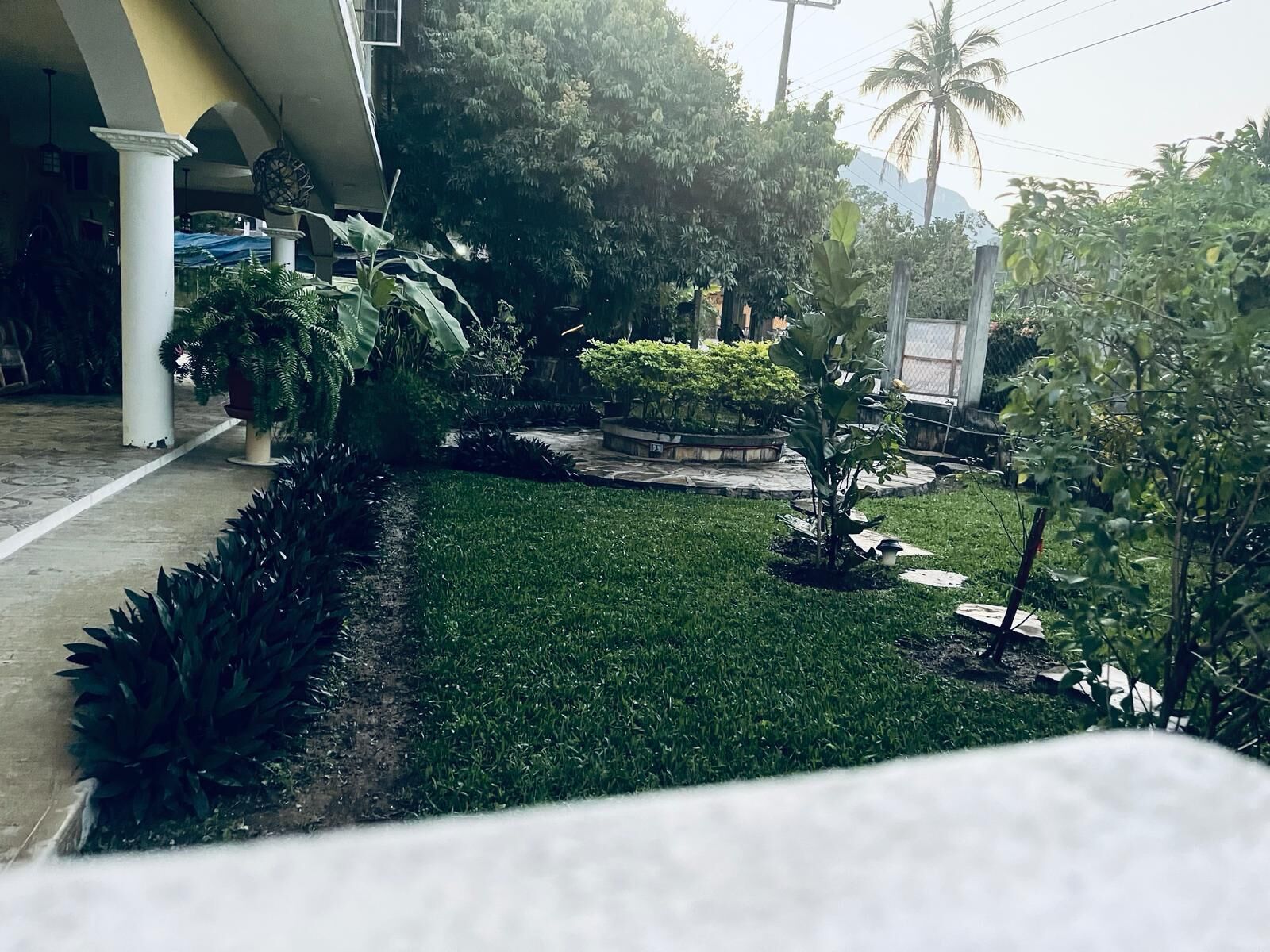 A well-maintained garden with a variety of plants and a central circular flower bed.