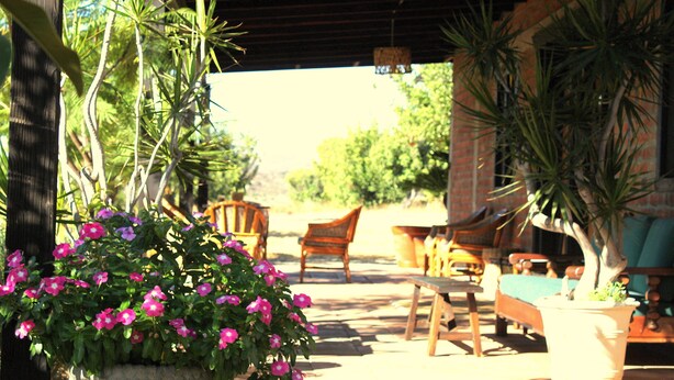 Een terras met houten meubels en een bloempot met roze bloemen.