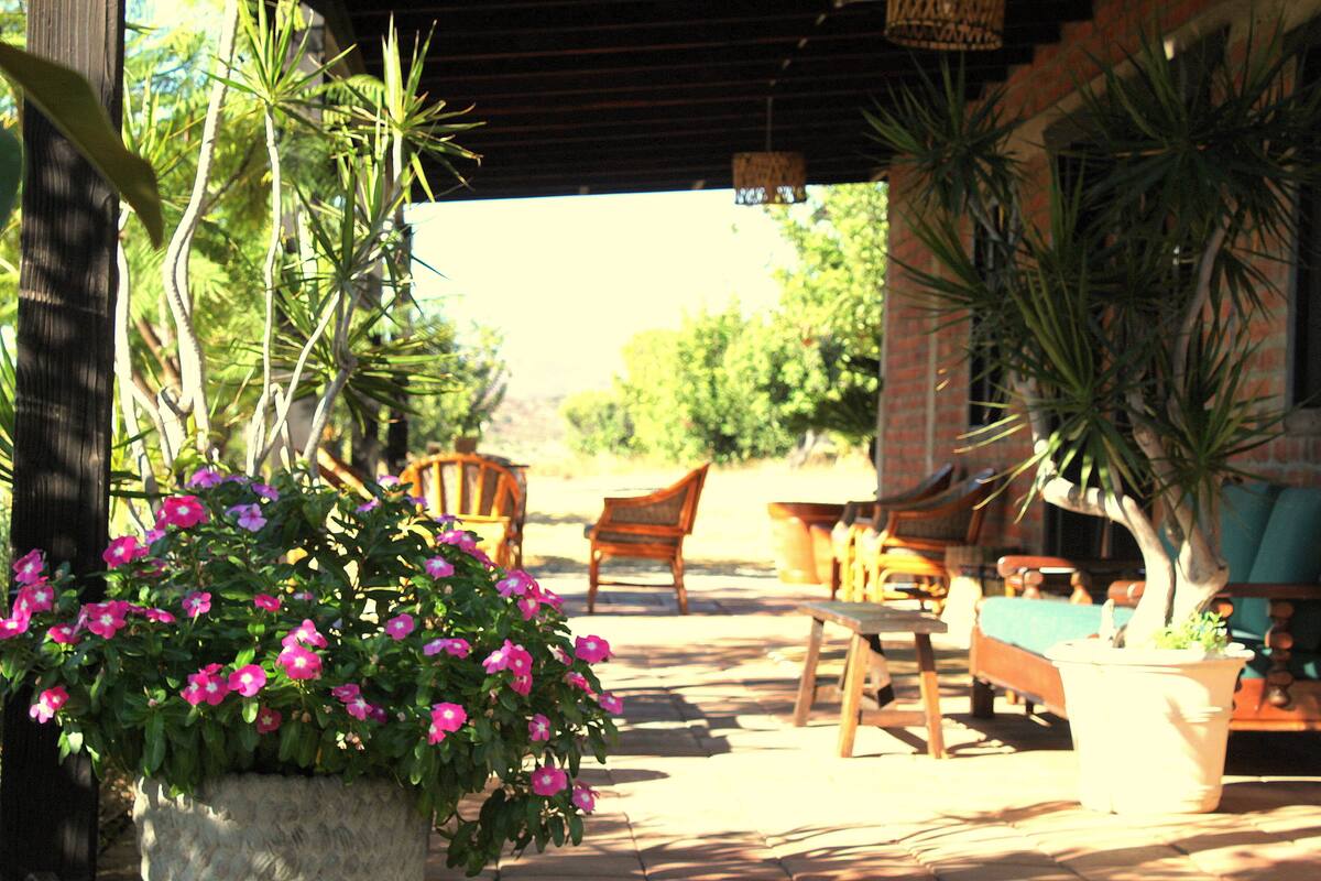 Un área de estar al aire libre con muebles de madera y una planta en maceta con flores rosas.