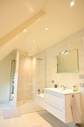 Hair dryer, towels, soap, shampoo