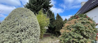 Close to the city centre. Private top floor surrounded by a spacious garden
