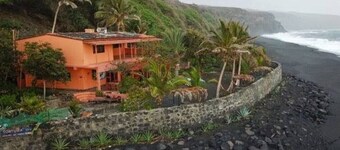 Tortuga b&b right by the beach, paradise garden, delicious food and drinks