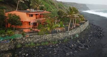 Tortuga b&b right by the beach, paradise garden, delicious food and drinks