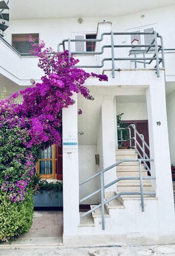 Agave Bed and Breakfast