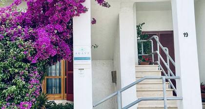 Agave Bed and Breakfast