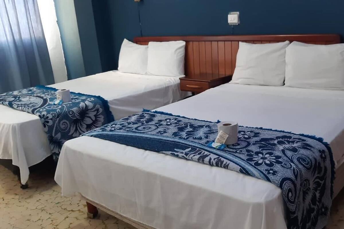 Habitación de hotel con dos camas, cada una con cubrecama blanco y manta de estampado floral azul. Cuenta con cabecera de madera y una mesita de noche con lámpara.