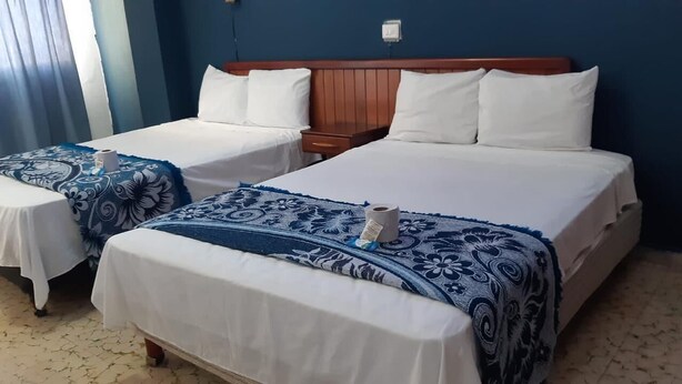 Habitación de hotel con dos camas, cada una con cubrecama blanco y manta de estampado floral azul. Cuenta con cabecera de madera y una mesita de noche con lámpara.