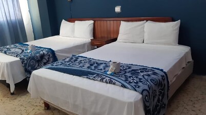 Hotel Narváez Classic