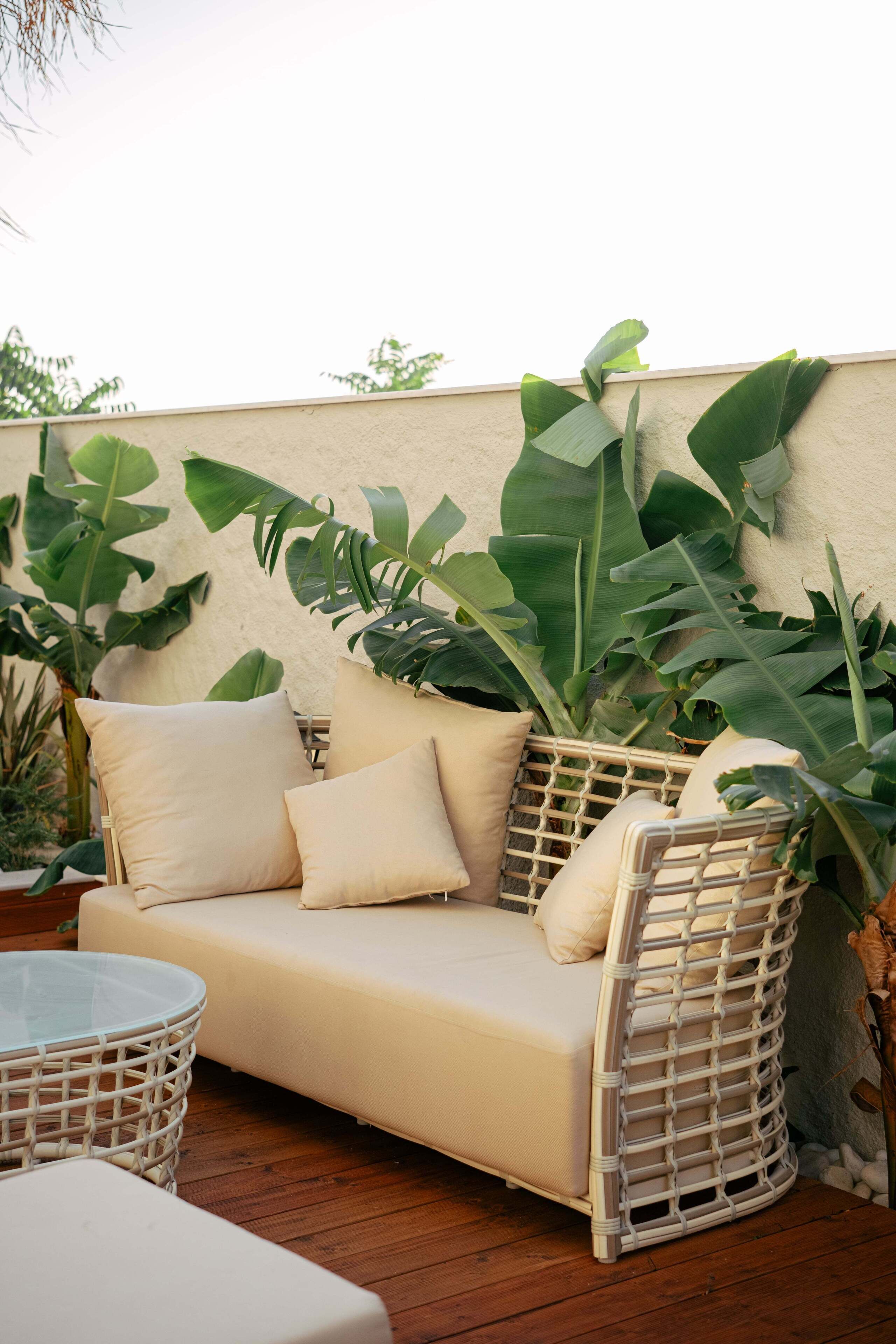 A wicker sofa with cushions, a glass table, and large green plants in a patio area.