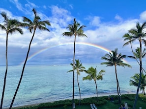 A beach with palm trees and a rainbow over the ocean.