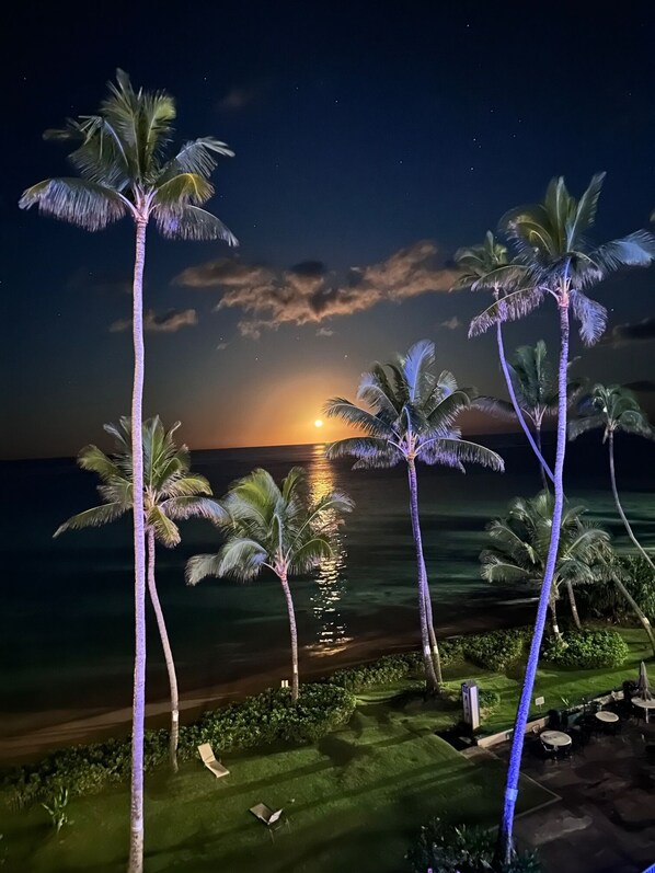 A nighttime view of a beach with palm trees and a sunset over the ocean.