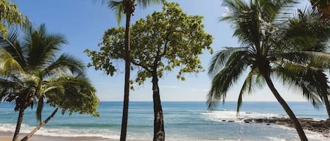 Camastros y toallas de playa