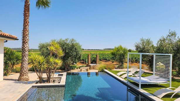 A swimming pool with a clear view of the surrounding landscape, including a vineyard and a pergola structure.