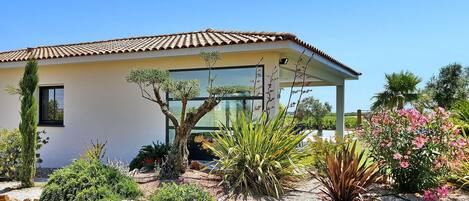 A house with a tiled roof, a glass window, and a garden with various plants and rocks.