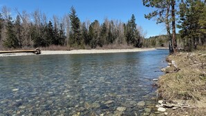 A clear river with visible rocks and a forested area in the background.