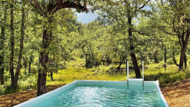 A rectangular swimming pool surrounded by trees in a natural setting. - La Bastide De Cinsault (La Celle)