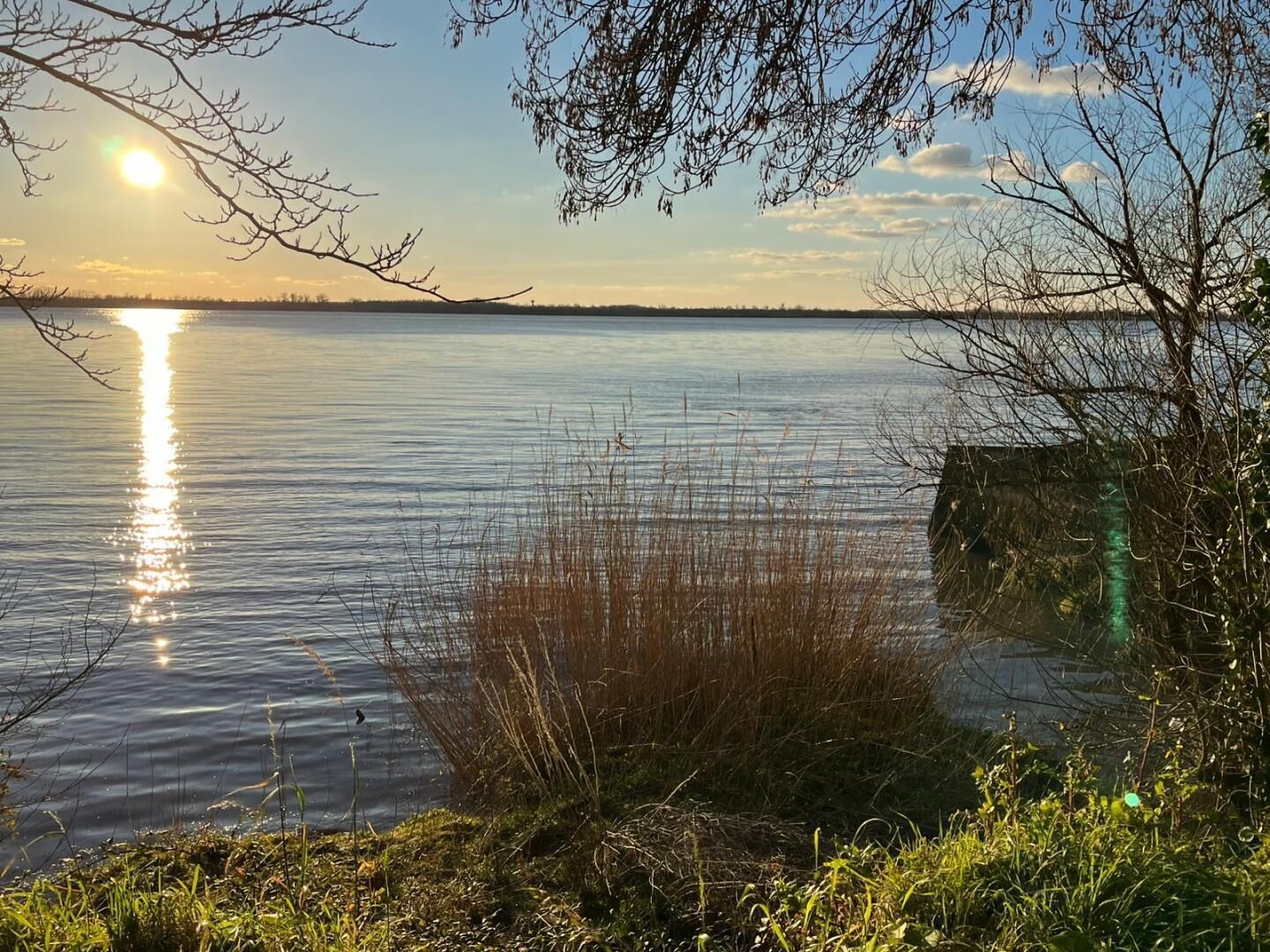 Sekalaista
