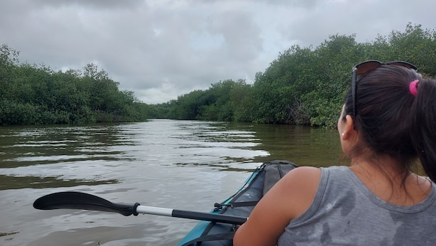 A person in a kayak on a river surrounded by dense greenery. - KAYAKS PERU (Tumbes)