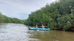 A person in a kayak on a river surrounded by dense greenery. - KAYAKS PERU (Tumbes)