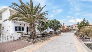 A pathway lined with palm trees and a white fence, leading to a building with a stone base and a white facade.