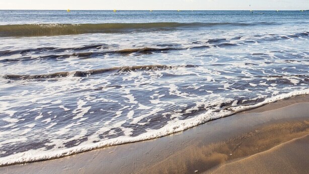 Une plage où les vagues viennent doucement lécher le rivage, un ciel dégagé et des bouées visibles au loin.
