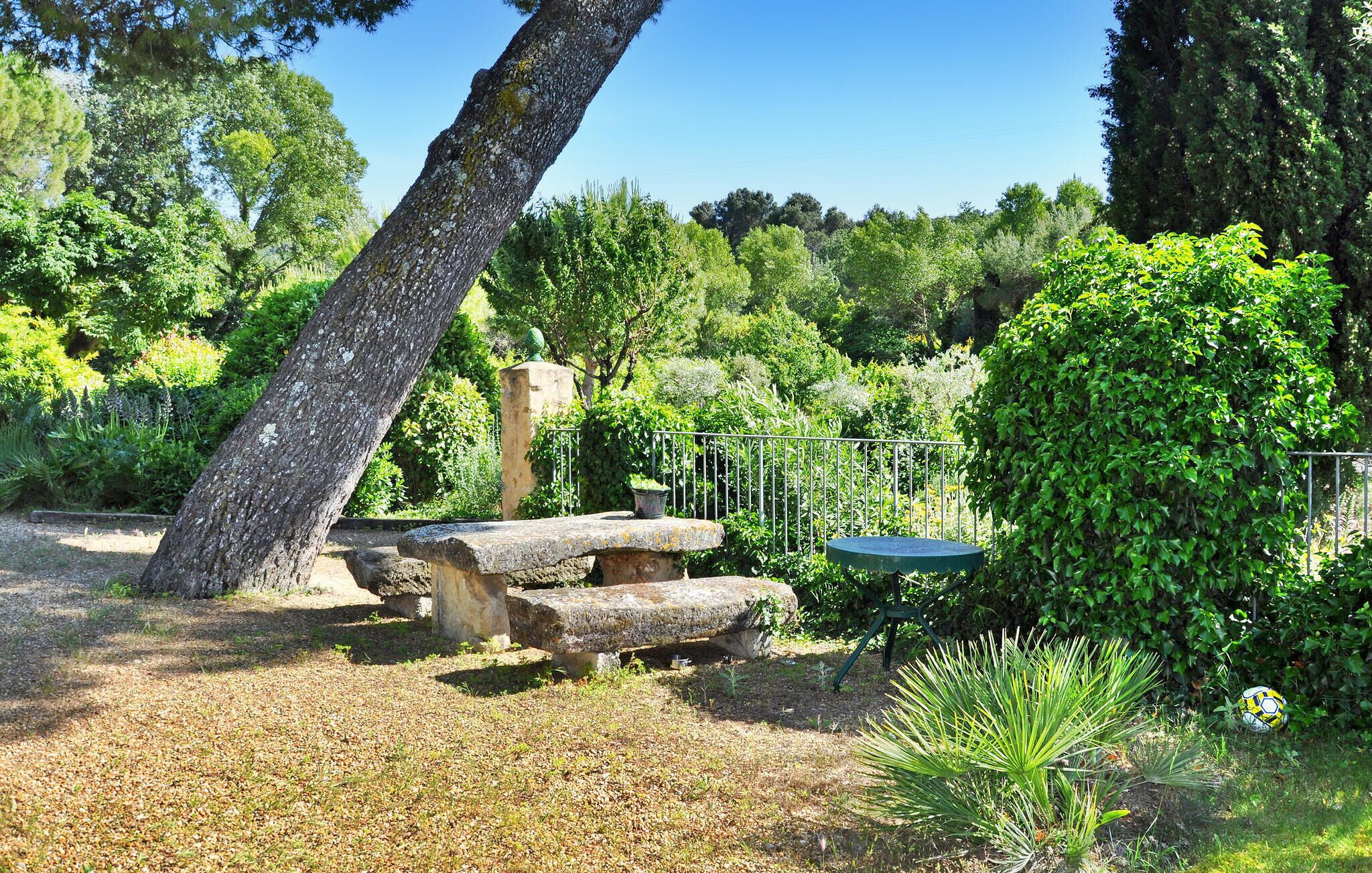 Un jardín con bancos de piedra, una valla metálica y diversas plantas.