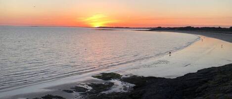 بالقرب من الشاطئ