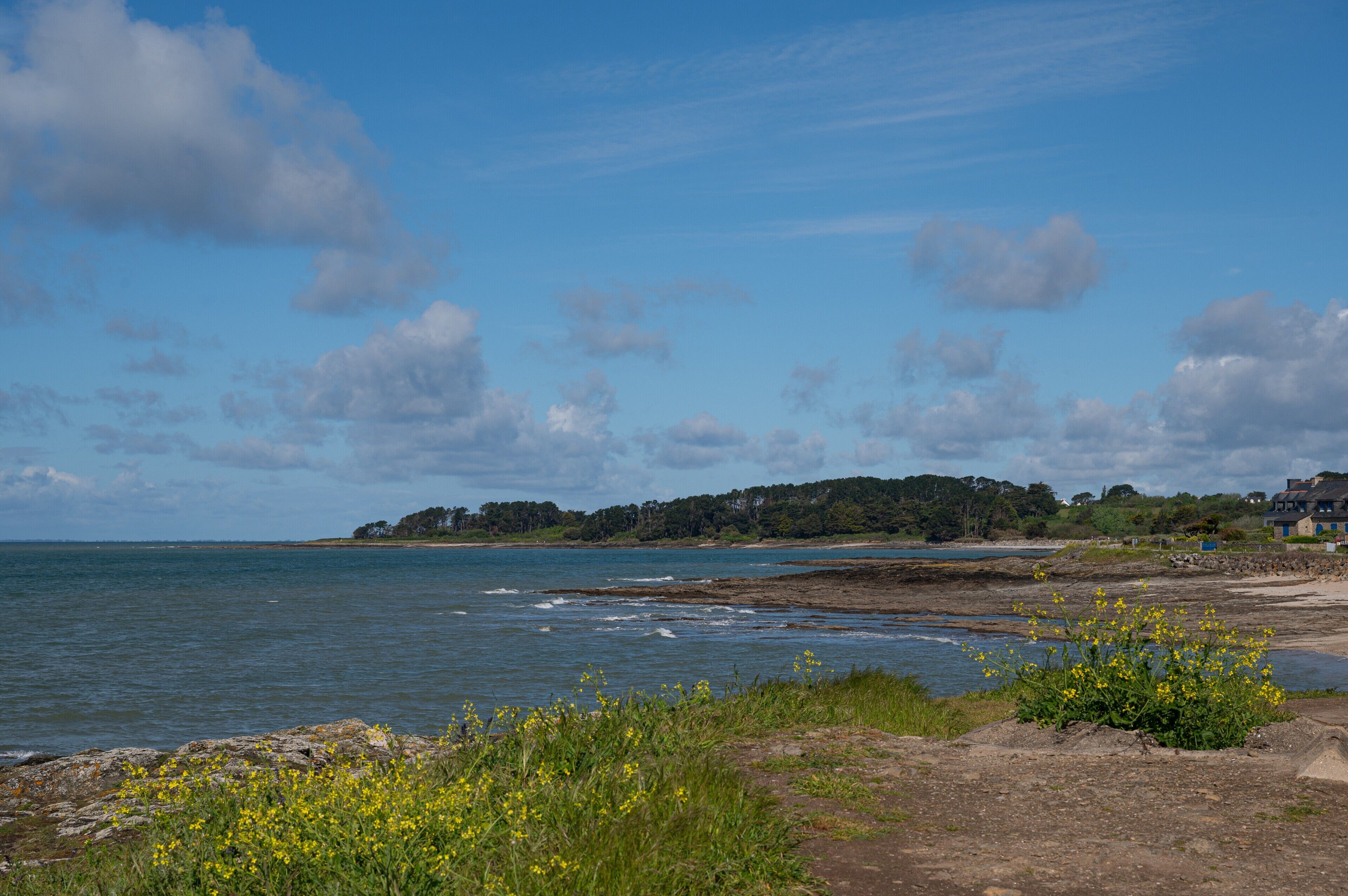 A coastal landscape with a beach, rocky foreground, and a distant hill with vegetation.