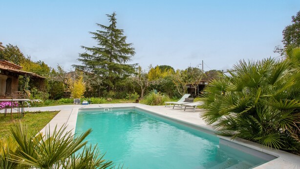 Una piscina rectangular amb un videtatge revestit de rajoles, envoltada de vegetació exuberant i unes quantes gandules.