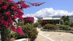 Une cour dallée de pierres, entourée de plantes en fleurs et de bâtiments blancs.