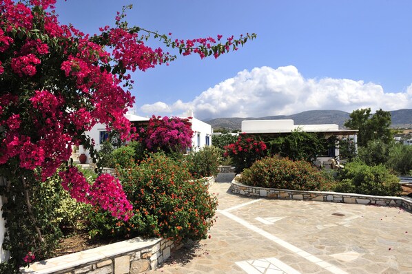 Un patio con suelo de piedra, rodeado de abundante follaje y coloridas flores de buganvilla.