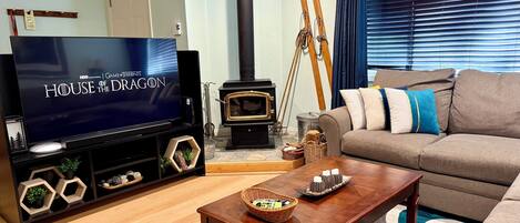 Smart TV, fireplace, video games, DVD player