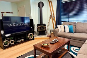 TV connectée, cheminée, jeux vidéo, lecteur de DVD