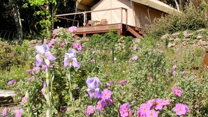 A rustic cabin with a wooden deck and a garden with purple flowers.