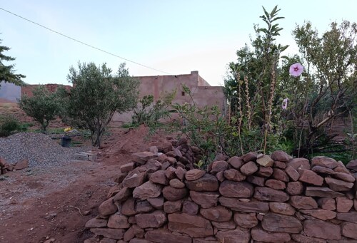 Chez Mohamed Bennouri