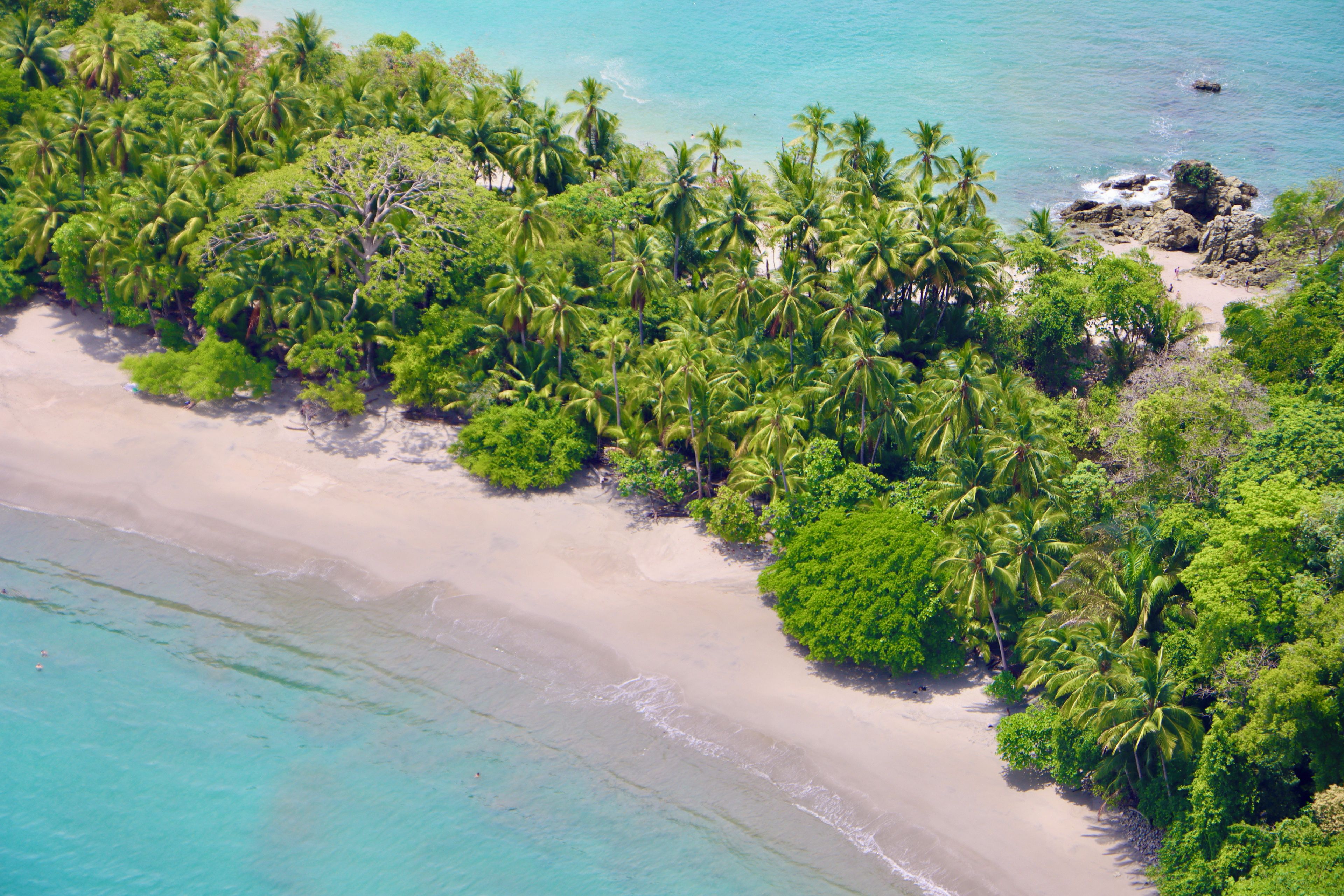 Vue aérienne d’une plage tropicale, avec de nombreux palmiers et une eau turquoise cristalline.