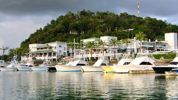 A marina with several boats docked, a building with a green roof, and a hill with trees in the background.